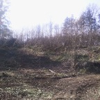 Photo0198