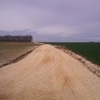 Photo0261